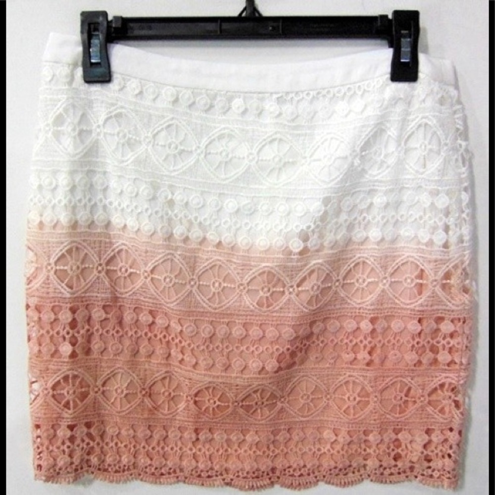 DANI Collection Crochet Lined Skirt. Sz. L.